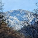 진달래산천 이미지