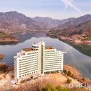 비바체(7대) 이미지