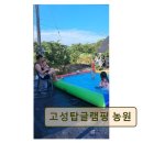 고성 탑 글램핑 농원 네이버블로그