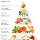 비타민메디케어 네이버블로그
