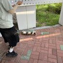 배동균 이미지