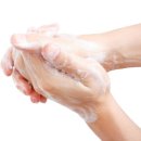 되지 생활건강 이미지