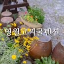 고씨굴팬션 네이버블로그