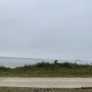 사창해수욕장 이미지