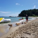 지에스25입장휴게소점 이미지