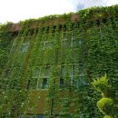 고색초교 이미지