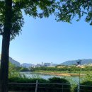 디케이치킨 이미지