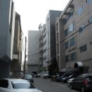 강남-269 이미지