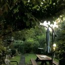 일번가막국수,닭갈비 | [춘천] 춘천 닭갈비 맛집 일번가 닭갈비/일번가 막국수 닭갈비