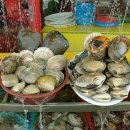 씨사이드모텔(시사이드모텔) 이미지