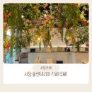 오쎄 | 사당 플렌테리어 대형 카페 : 오쎄(osee) 주말 방문후기