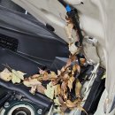 태이모터스 이미지