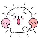 카페노네