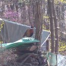 프라임펜션 이미지