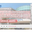 시흥시농업기술센터 이미지