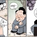 에잇드림 이미지