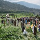 다라(Dara)house 이미지