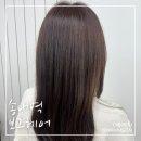 둘리미용실 | 부천 송내역 미용실 보그헤어, 염색 잘하는 곳 추천!!