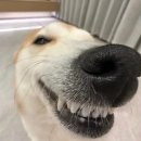 GS25홍익대정문점 | 2026 편입 합격 수기 | 6관왕 | 중앙대, 경희대, 이화여대, 숙명여대, 홍익대, 세종대 합격 | 시험 후기