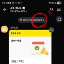 몽글그루밍 이미지