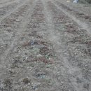 터골농장 이미지