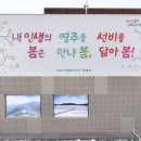 선비문구