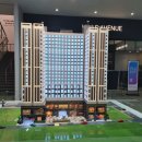 센트럴 독 이미지