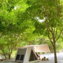 더해피공인중개사사무소 이미지