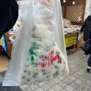 지에스25 속초대포점 | 부모님과 함께하는 속초 먹방 효도 여행 [대포대게회직판장/당근마차/유정이네튀김/탑골막국수/설악딸기...