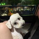 강정아미용실