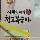 대극천복숭아 당도 높은 청도 납작복숭아 후기 지상농원