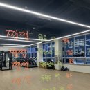 엘리트복싱클럽 | 금곡동운동 Y복싱클럽 금곡점