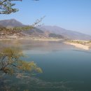 화개농원 이미지