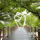 애련정 | 안흥지 애련정, 이천에서 만나는 고요한 풍경 속 힐링 여행✨