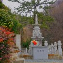 석림정사 티스토리