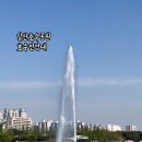 메가커피일산가로수길점