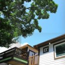 핑키마린펜션 이미지