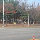 경기도 수원시 영통구 산남로 이미지