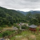 휴양림로 이미지