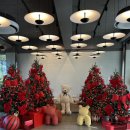 272 | 함안 유명한 카페 '272카페' 후기, 내 돈 내산