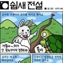 토끼와거북이