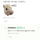 오피니언라이브 | 오랜만에 쓰는 블로그 리쿠 릴레이 캠 후기
