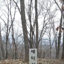 서천초등학교 이미지