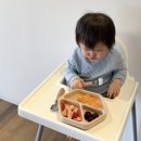 포크 | 타이니트윙클 3구 흡착식판 스테인리스 스푼 포크 세트 후기