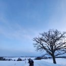 하얀마을카공업사 | 비에이 렌트카 하루 코스 추천｜패치워크로드부터 백은장 온천까지