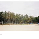 푸른장여관 이미지