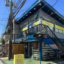 몽키샵 | 필리핀 보홀 기프트샵 (선물샵) 몽키트리 내돈내산 후기🐒