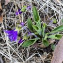 고원아파트 이미지