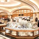 테라스파크 광장 이미지