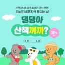 오늘도 댕댕 이미지